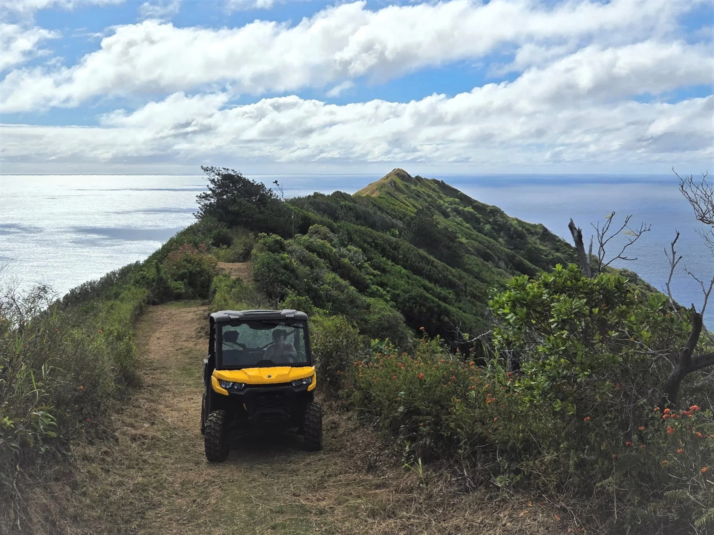 A yellow all-terrain vehicle on a grassy track along a ridge above the sea